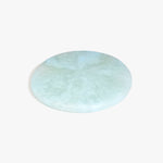 Dinosaur Designs PLRTEMCHE temple cheese platter POOL ..