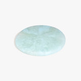 Dinosaur Designs PLRTEMCHE temple cheese platter POOL ..
