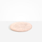 Dinosaur Designs PLRTEMCHE temple cheese platter ROSE SWIRL 