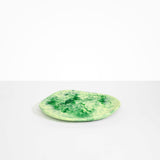Dinosaur Designs Pebble Plate Serving Platters in Grass Colour resin