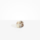 Dinosaur Designs Small Chestnut Vase in Cappuccino Colour resin