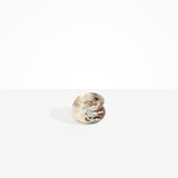 Dinosaur Designs Small Chestnut Vase in Cappuccino Colour resin.