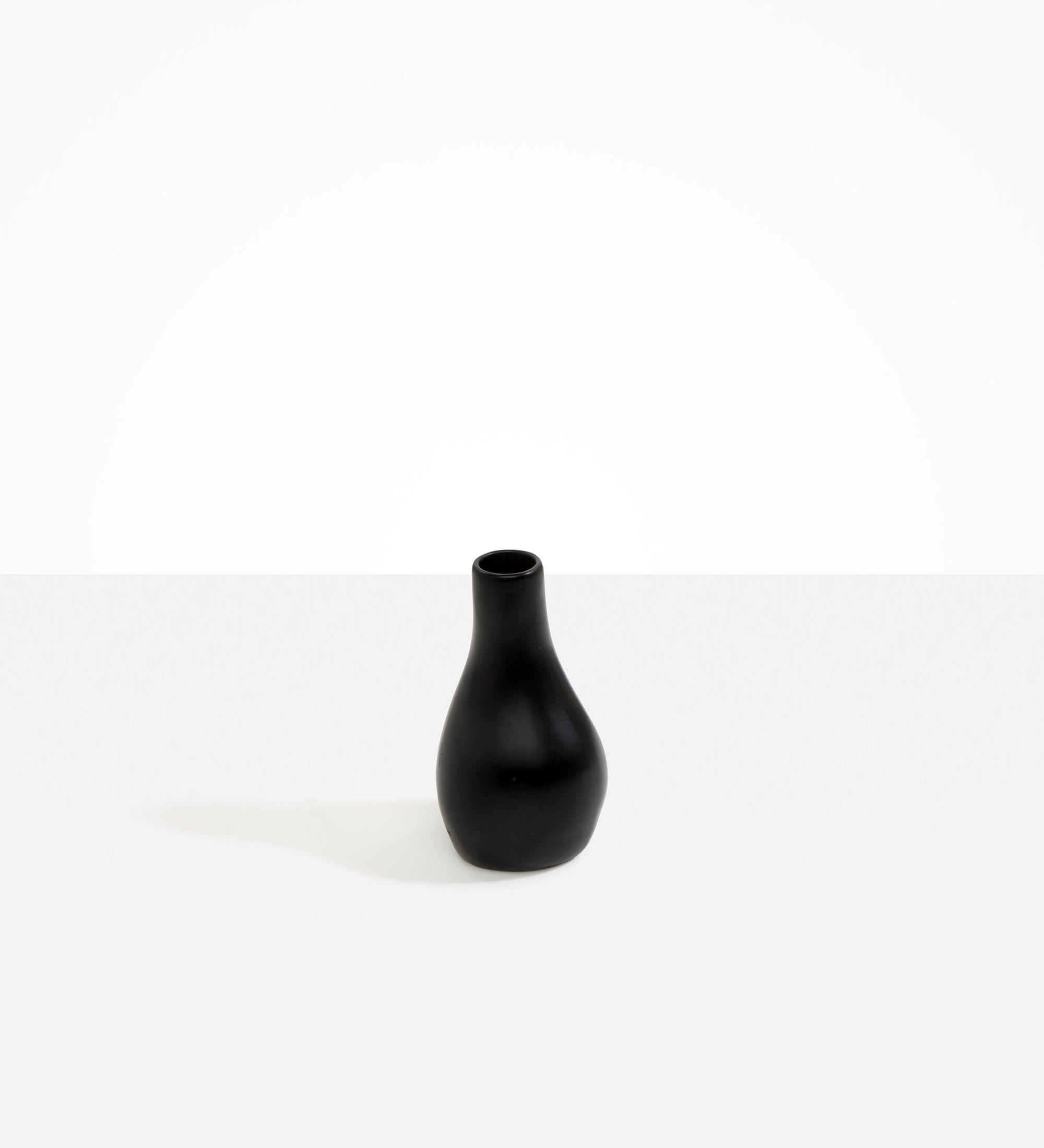 Dinosaur Designs Medium Liquid Vase Vases in Black Colour resin