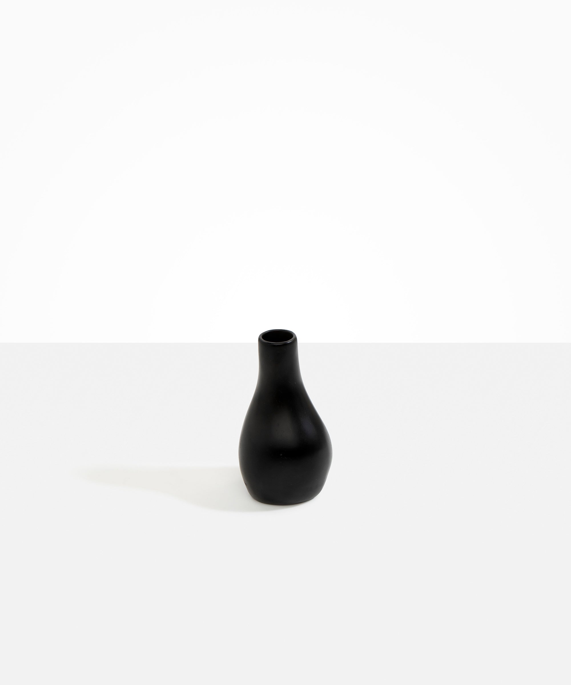 Dinosaur Designs Medium Liquid Vase Vases in Black Colour resin