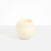 Dinosaur Designs Large Moss Vase in Cream Colour resin..