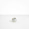 Dinosaur Designs Small Moss Vase in Cappuccino Colour resin..