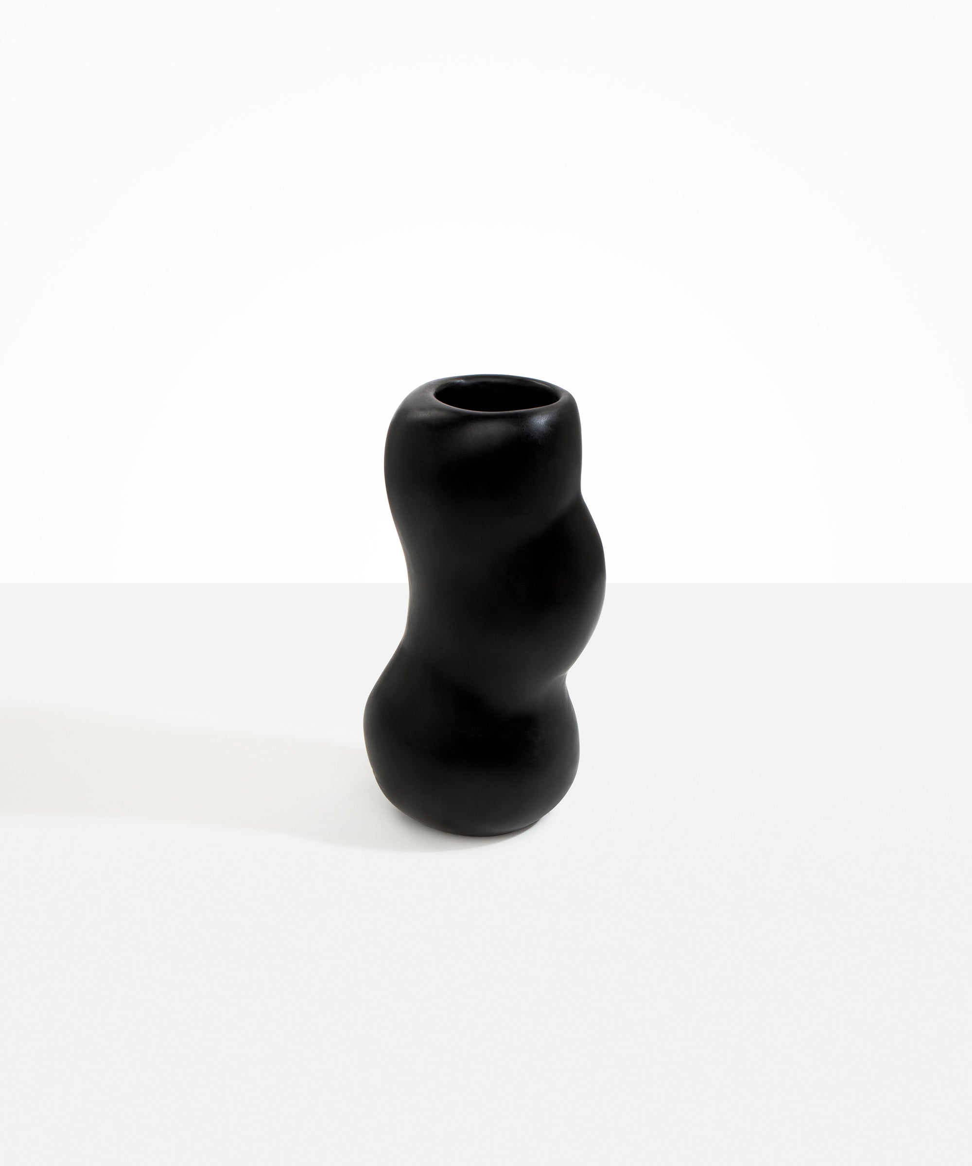 Dinosaur Designs Medium Valley Vase Vases in Black Colour resin
